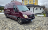 vehicle image #11