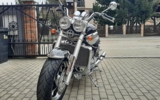 vehicle image #5