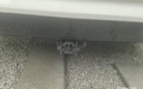 vehicle image #10