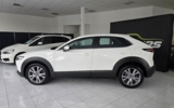vehicle image #8