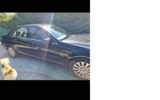 vehicle image #3