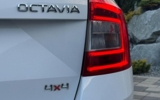 vehicle image #5