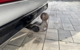 vehicle image #21