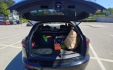 vehicle image #5