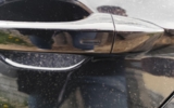 vehicle image #15