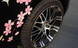vehicle image #14