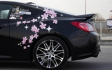 vehicle image #7