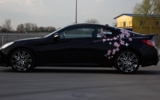 vehicle image #16