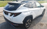 vehicle image #5