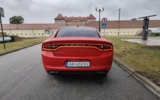 vehicle image #6