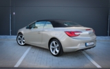 vehicle image #13