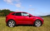 vehicle image #5