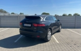 vehicle image #6
