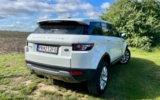 vehicle image #6