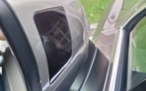 vehicle image #18