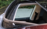 vehicle image #53