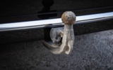 vehicle image #45