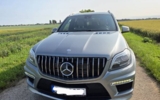 vehicle image #3