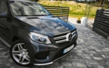 vehicle image #11
