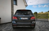 vehicle image #7