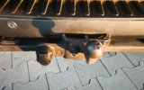 vehicle image #52