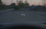 vehicle image #43