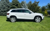 vehicle image #5