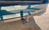 vehicle image #32