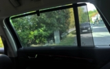 vehicle image #22