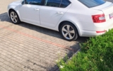 vehicle image #4