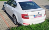 vehicle image #6