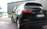 vehicle image #11