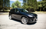 vehicle image #4