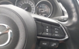 vehicle image #17