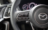 vehicle image #19