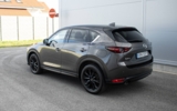 vehicle image #11