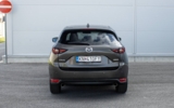 vehicle image #7