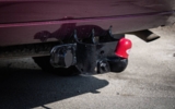 vehicle image #12