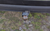 vehicle image #23