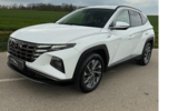 vehicle image #8