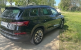 vehicle image #6