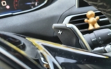 vehicle image #18