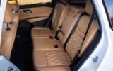 vehicle image #17
