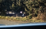 vehicle image #31