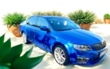 vehicle image #1