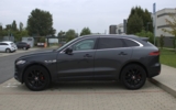 vehicle image #6