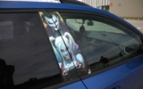 vehicle image #25