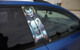 vehicle image #27