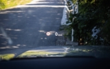 vehicle image #20