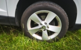 vehicle image #12